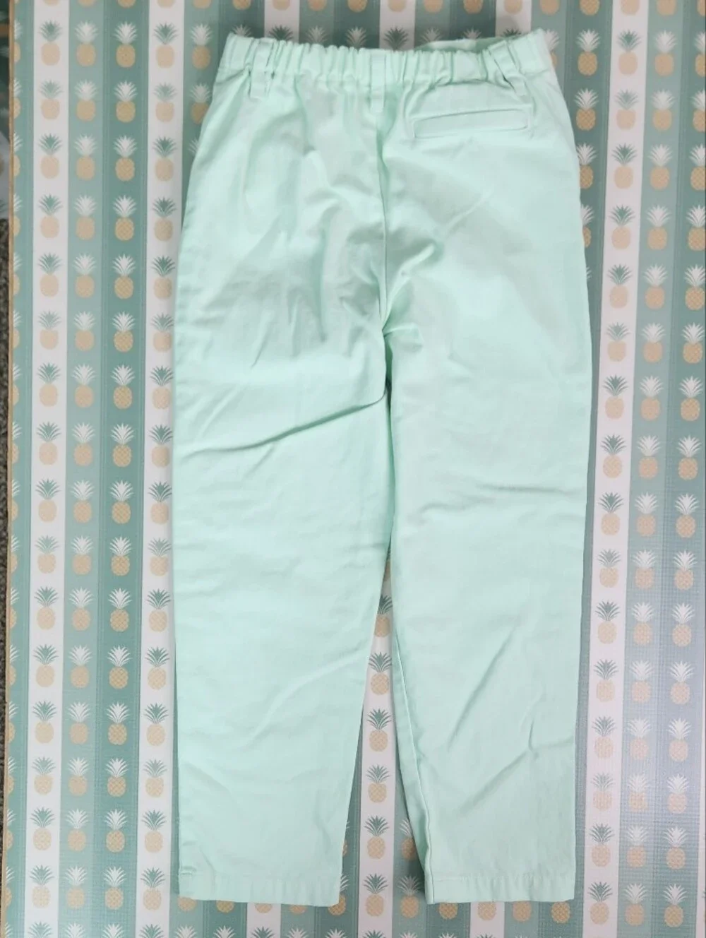 Bella Bliss Mint Green Pull On  Straight Pants